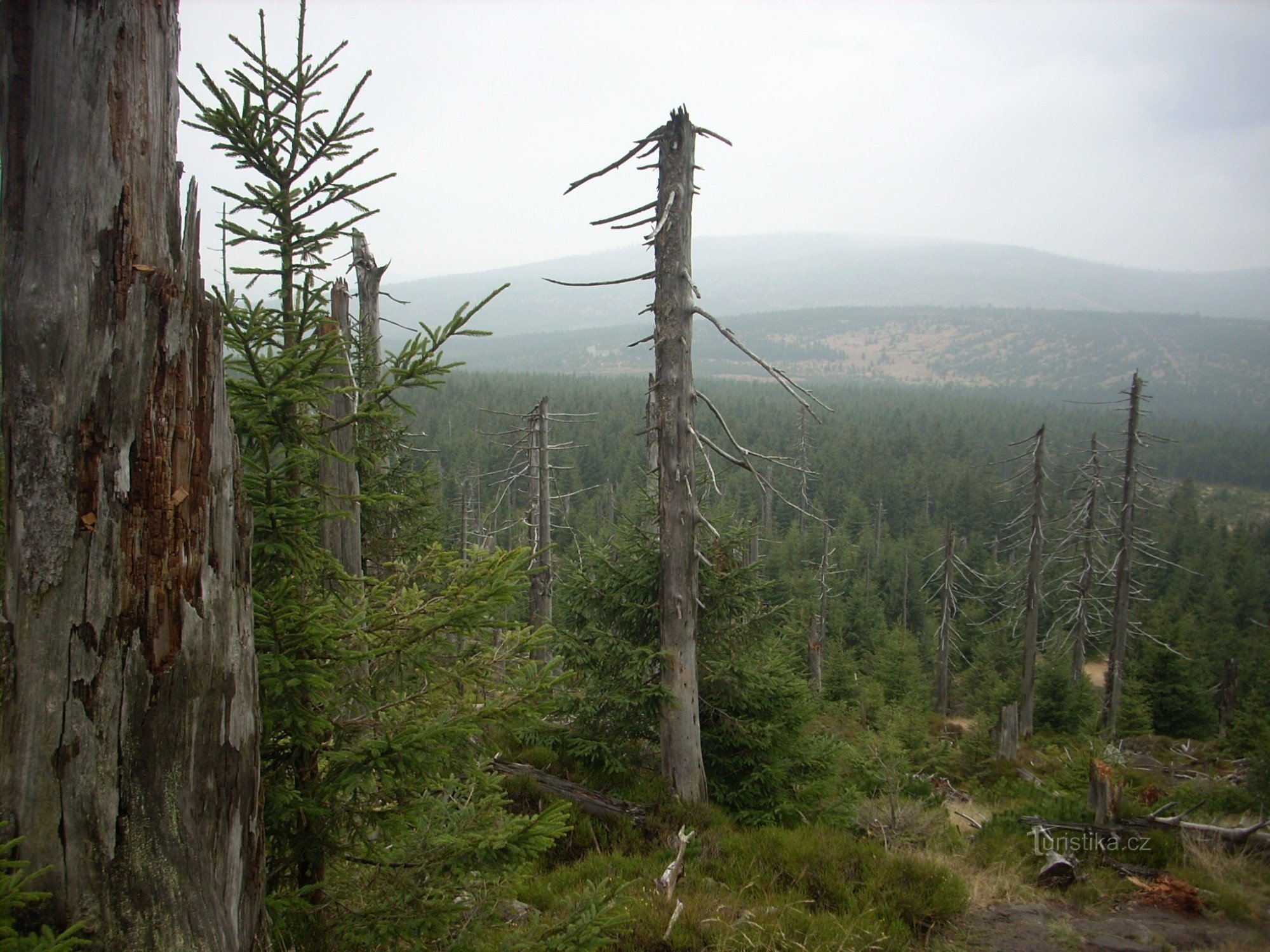 Vista de las montañas Jizera