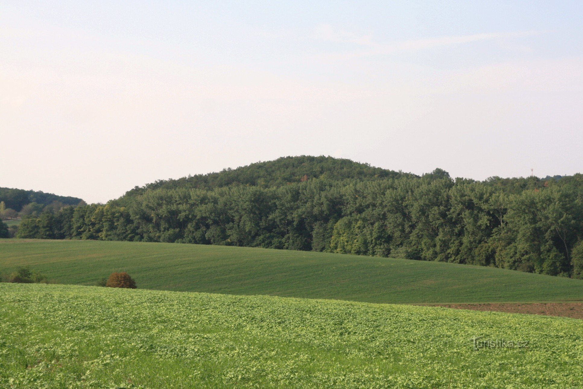 Widok na wzgórze Hradisko