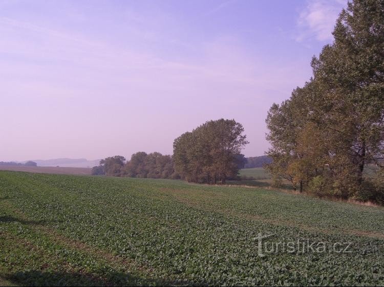 Άποψη του κρεβατιού Jasenka κάτω από το Janovice, κατάντη