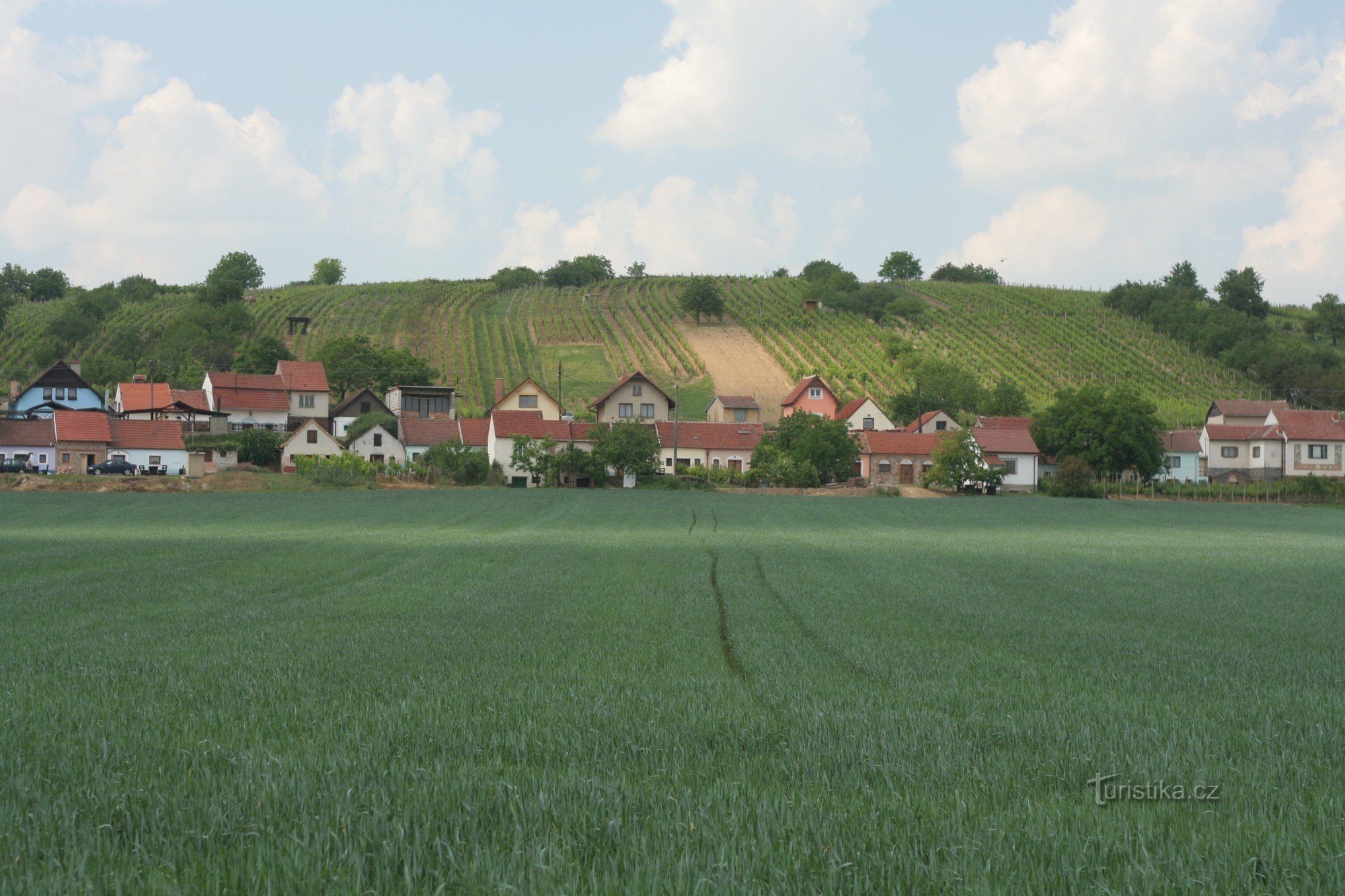 Uitzicht op Kraví hora en Bořetice