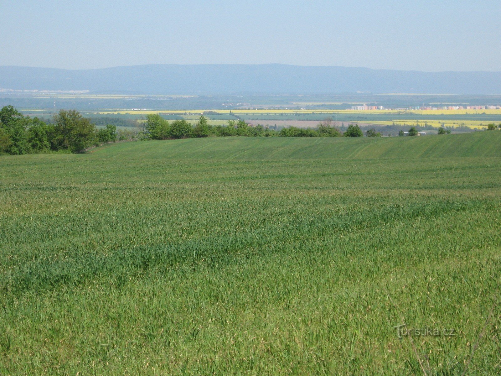 Udsigt over Krušné Hory