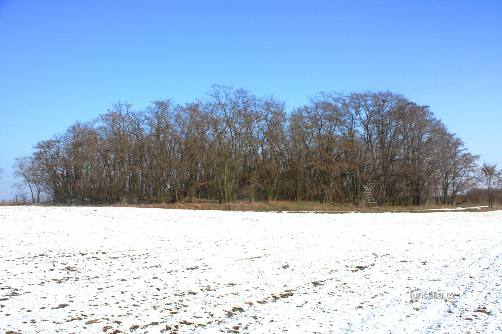 A view of the location hidden in an acacia grove in the middle of fields and vineyards