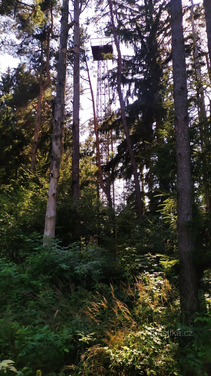 Pohled na maják, který prosvítá mezi stromy