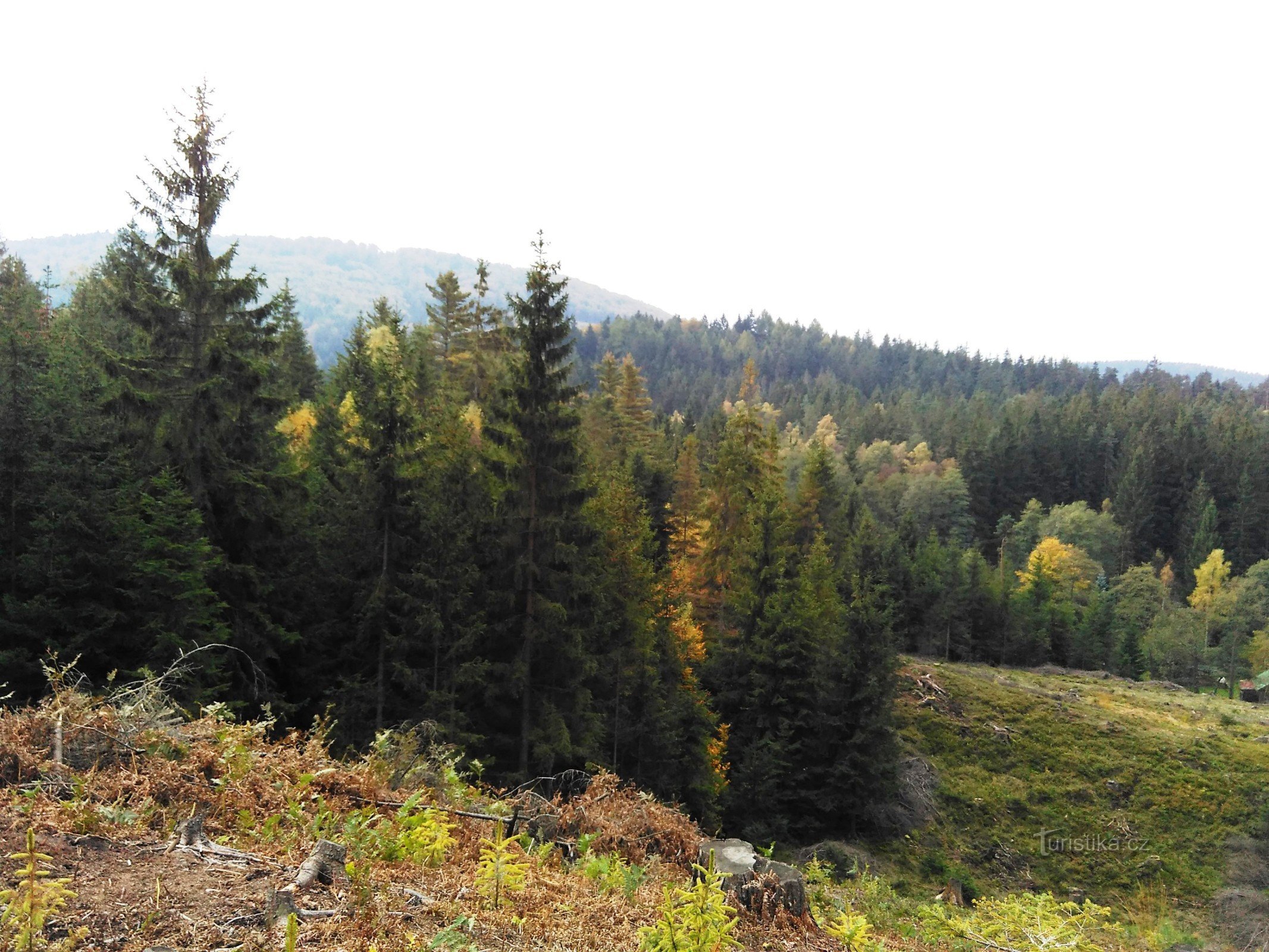 vista de Malý Buk