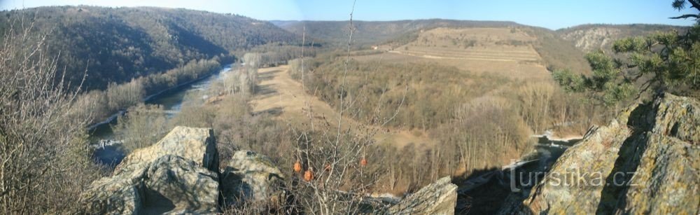 Vue sur le méandre de Dyje avec le vignoble de Šobes