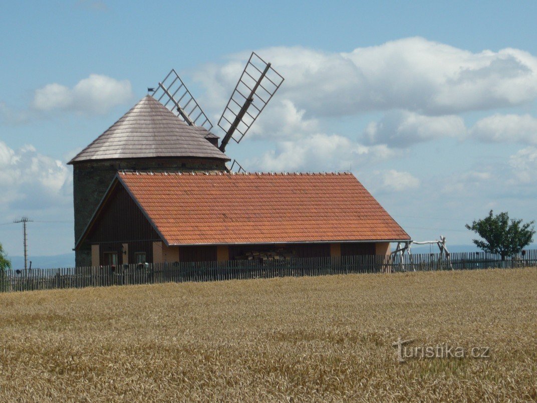 vue du moulin depuis la route Kostelec na Hané - Přemyslovice