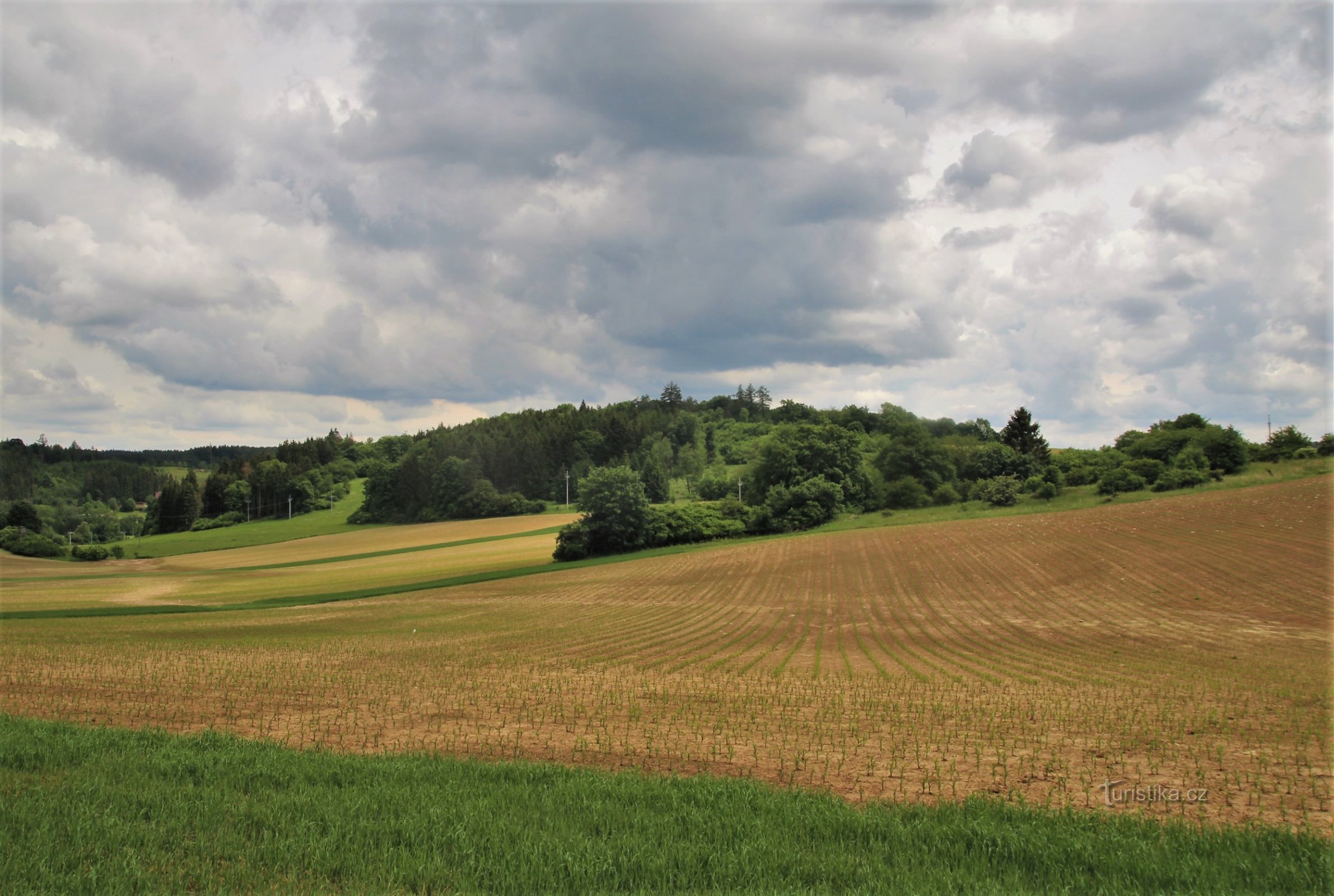 Vista de Neselov de Brusná