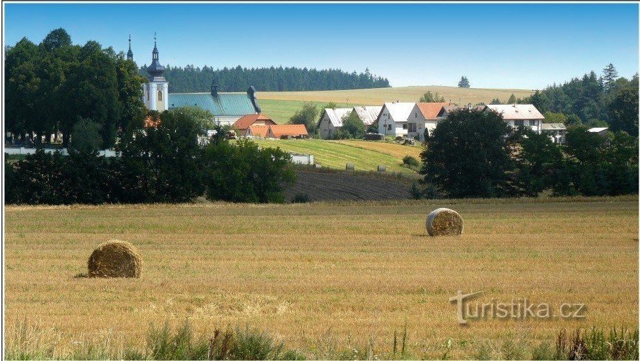 Вид на Нове царство