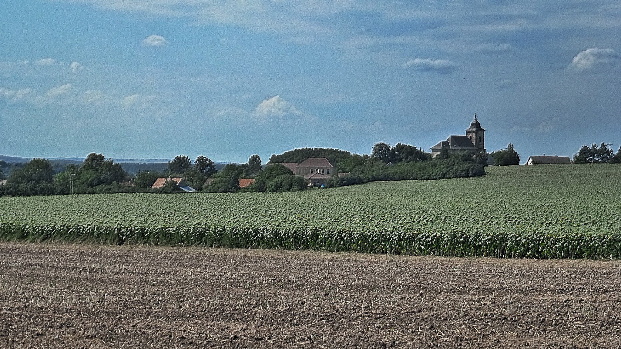 Blick auf die Gemeinde von der Straße Podhořany-Dolní bučice