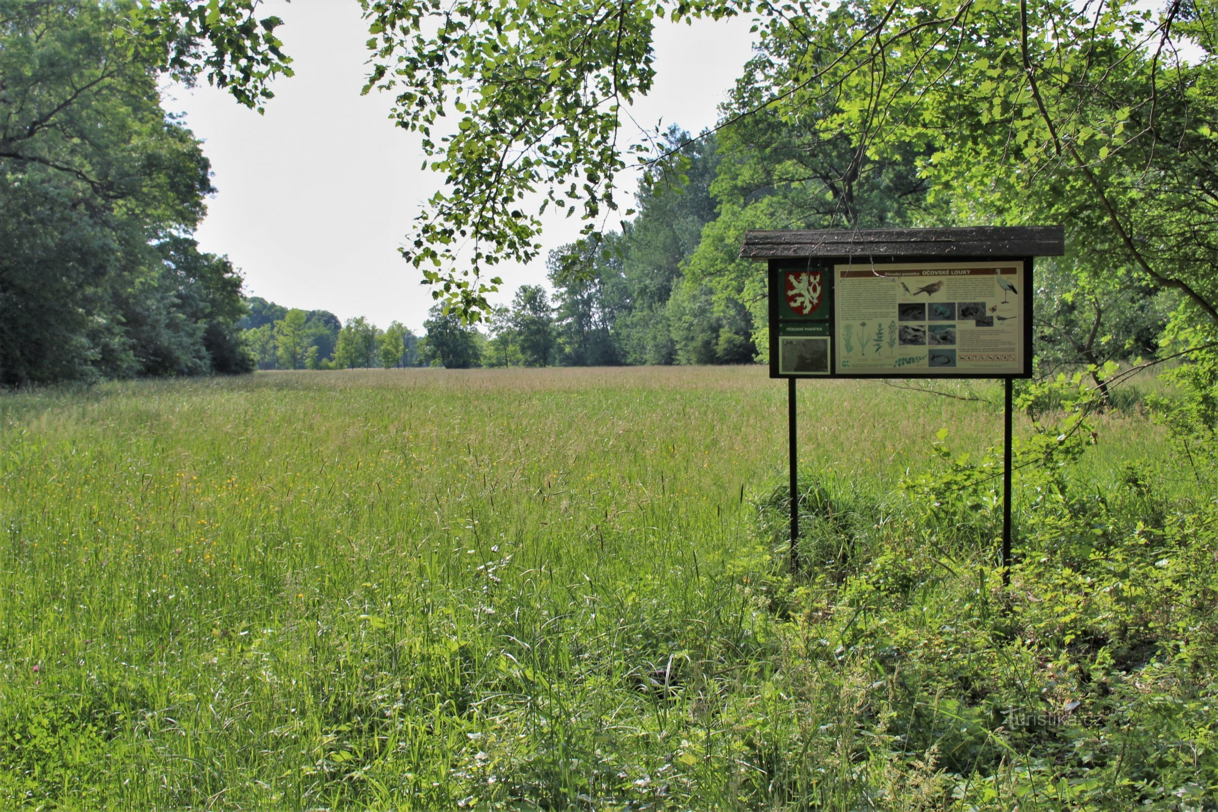 View of the Očovské meadows