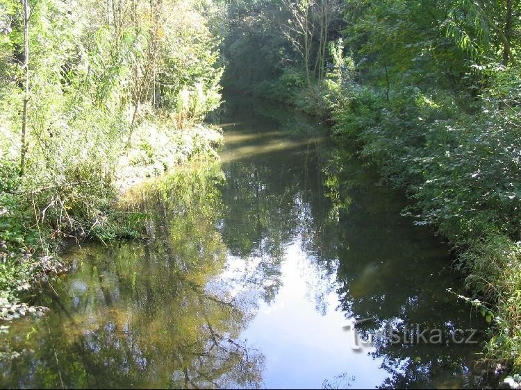 Blick auf Olešná von der Fußgängerbrücke bei der Reithalle - flussaufwärts