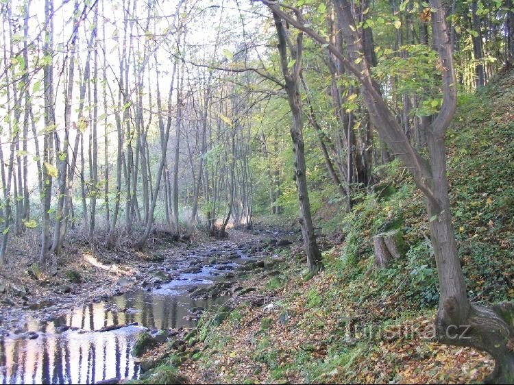 utsikt över Ondřejnica från vänster strand