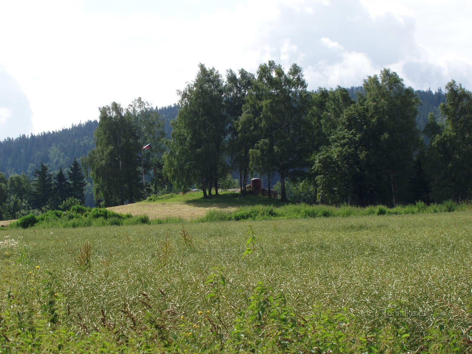 Zicht op de infanteriebunker K S-32 vanaf de weg naar Lichkov