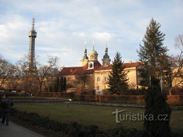 pogled na petrijevko