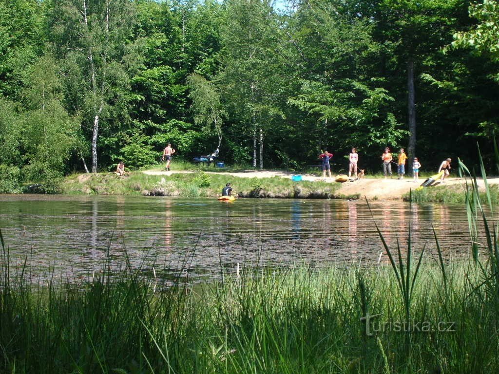 Widok na plażę