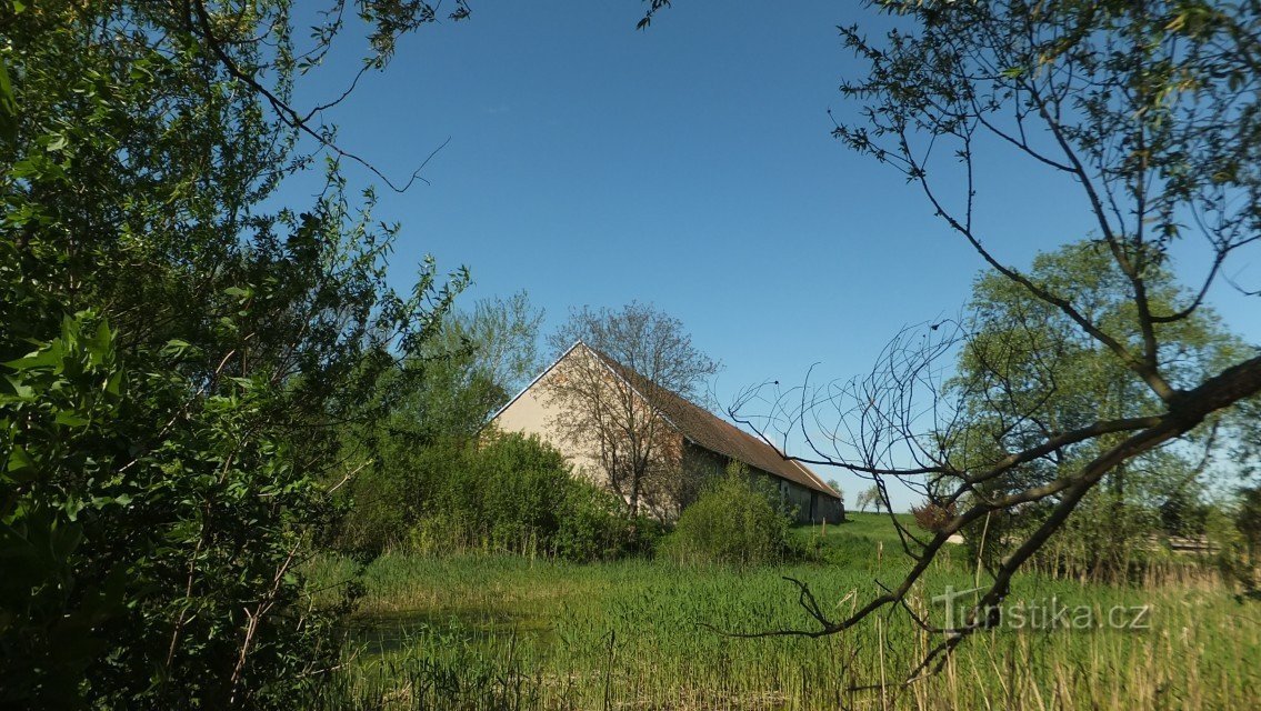 widok na teren od strony południowej