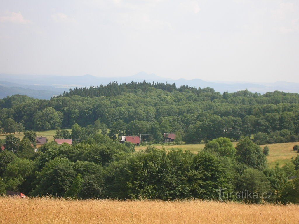 View of Polevsko