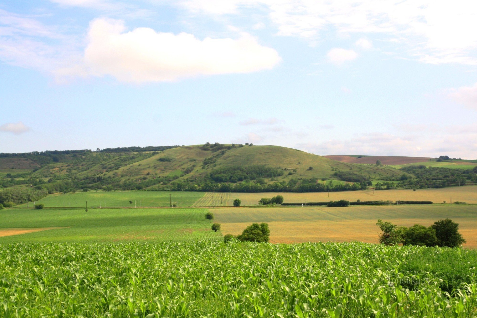 View of the Pouzdran steppe