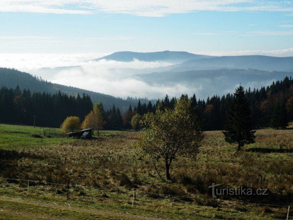 Widok z przodu iz tyłu Žalý