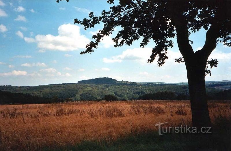 Blick auf das Naturschutzgebiet Špičák bei Krásné les