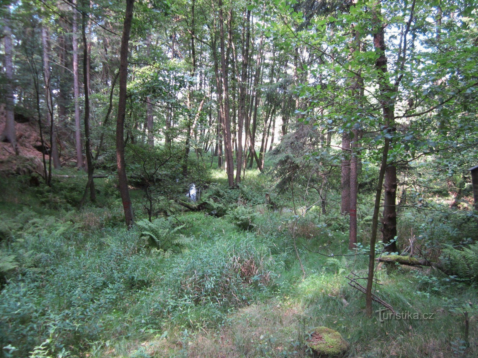 Pogled na rezervat Arba s turistične poti