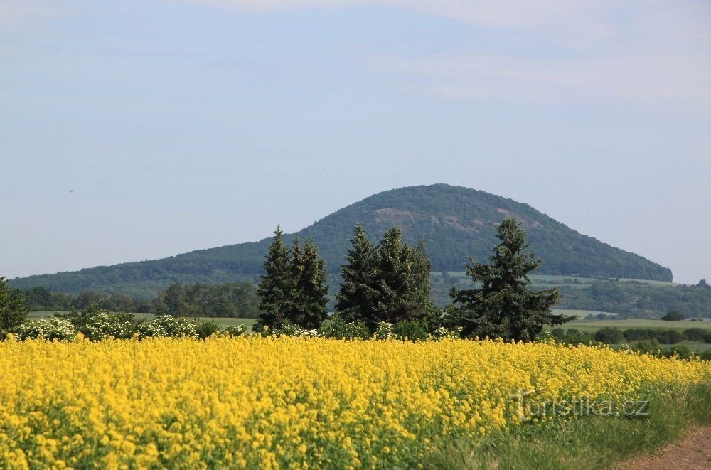 View of Říp from Ledčice