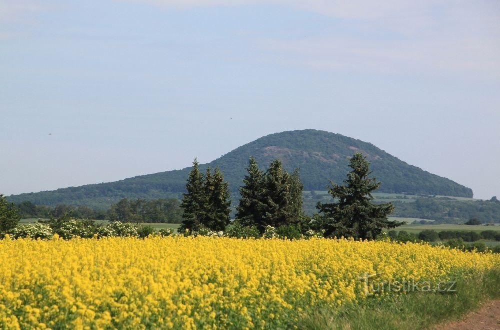 Blick auf Říp von Ledčice