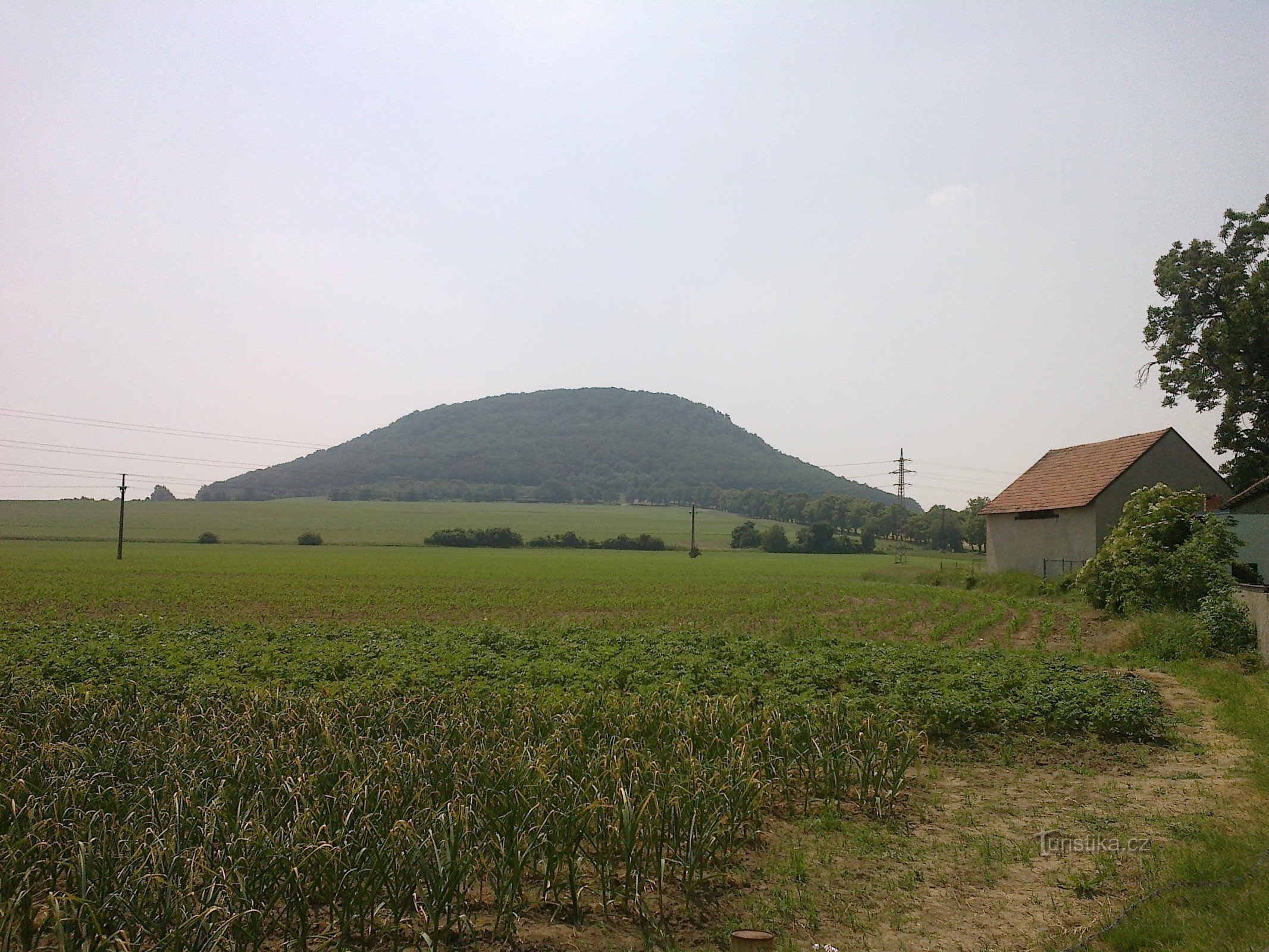 Blick auf Říp von Rovné