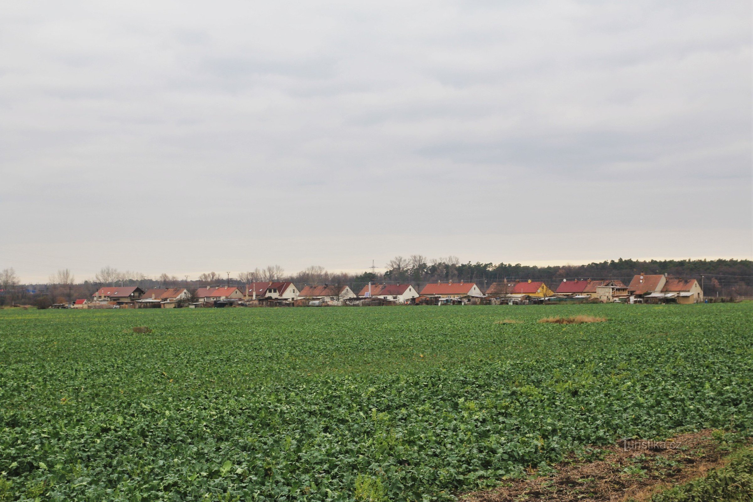 View of family houses on Nesyta