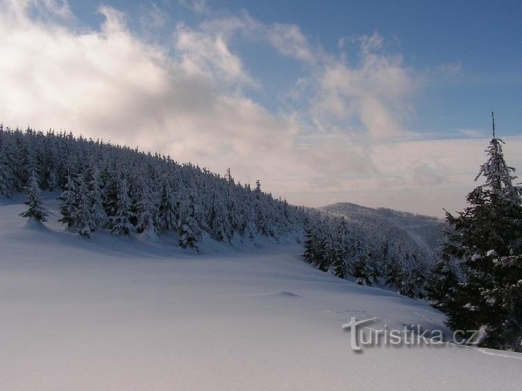 Vedere la Ropica din Šindelná