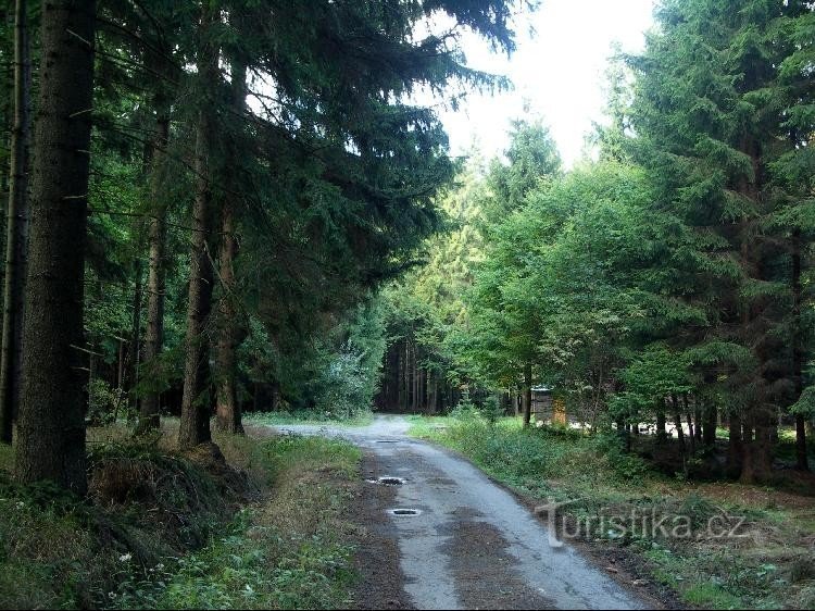 Uitzicht op het kruispunt vanuit het zuiden