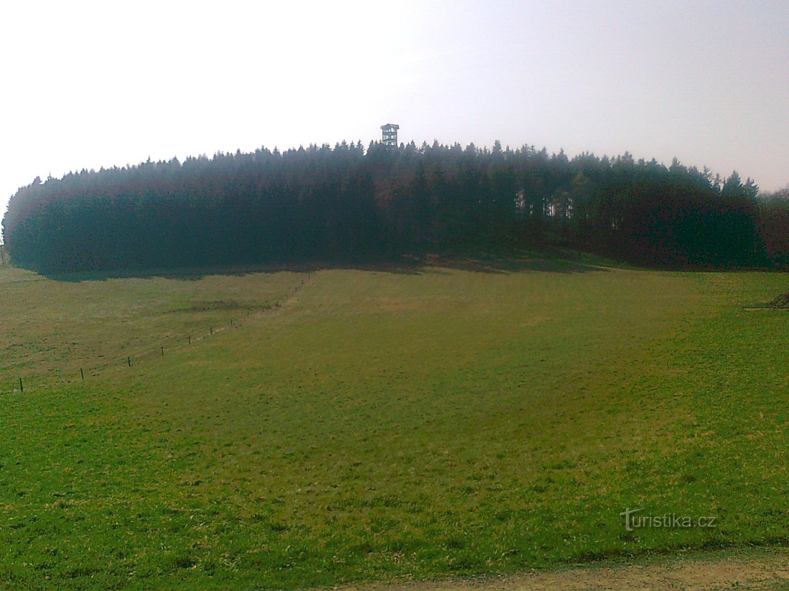 view of the lookout tower on the Weifberg hill