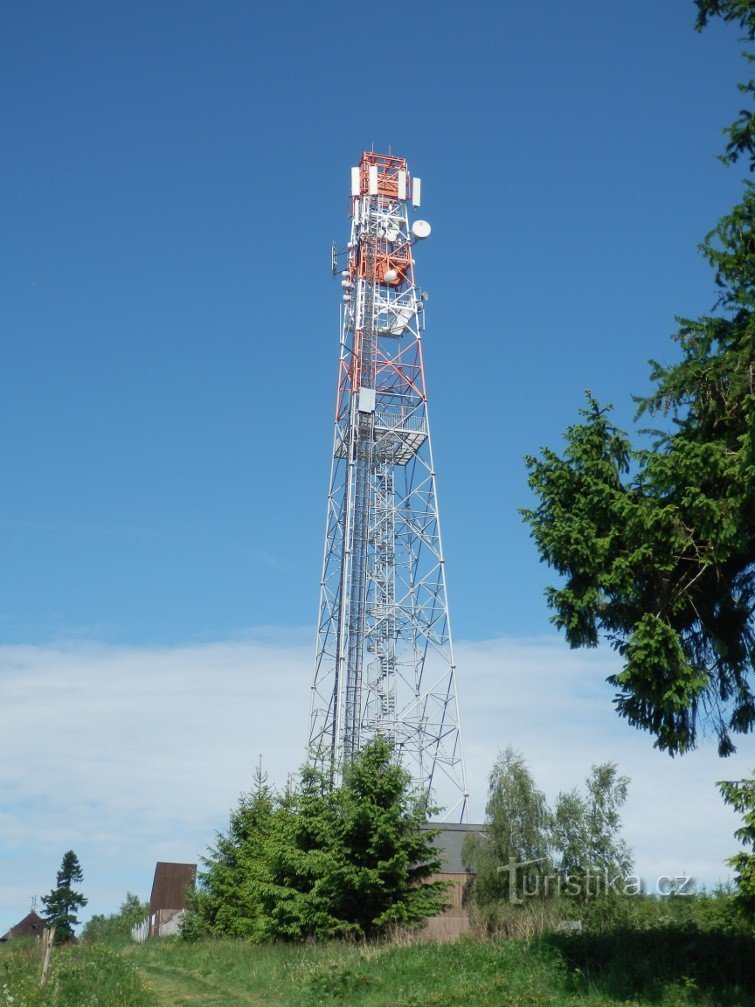 Uitzicht op de uitkijktoren vanuit het oosten