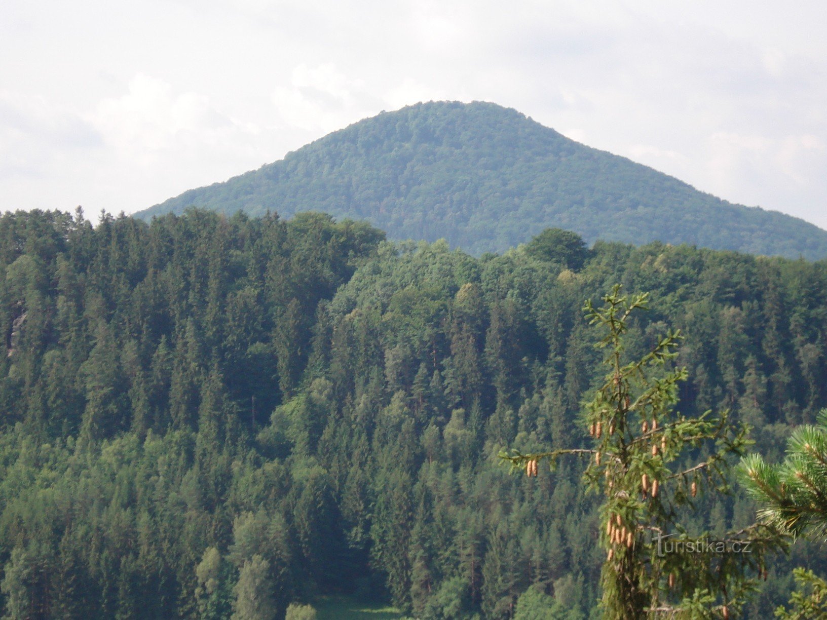 widok na Różowe Wzgórze