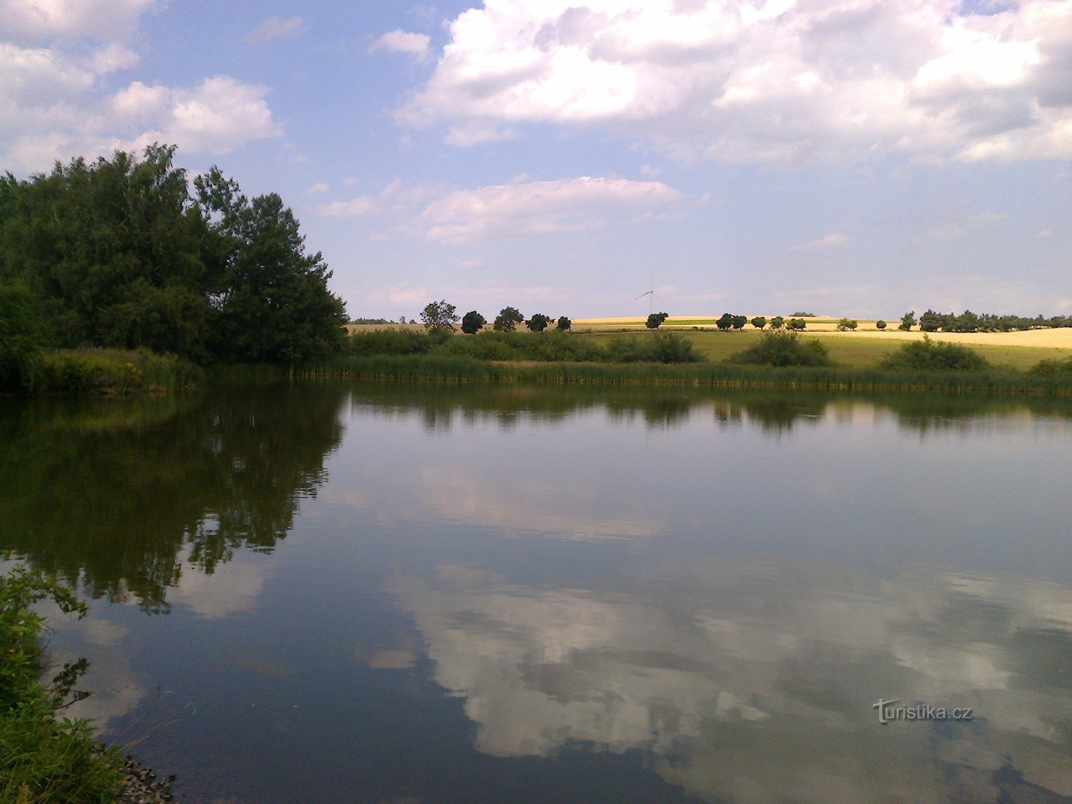 池の眺め 2