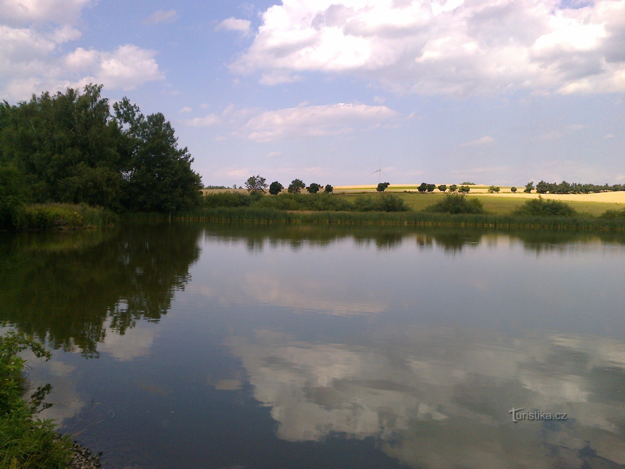 Pogled na ribnik 2