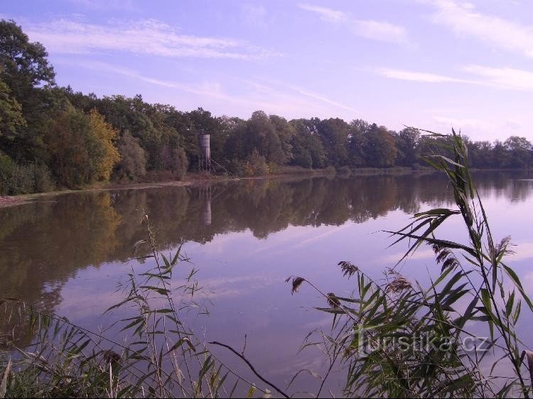 Blick auf den Teich