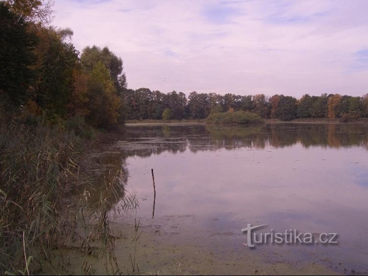 Pogled na ribnik