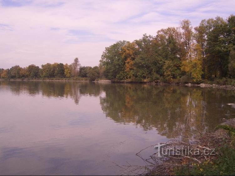 Blick auf den Teich