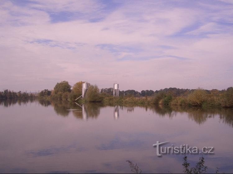 View of the pond