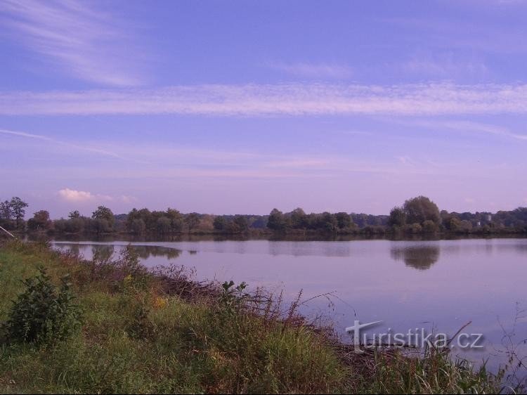 View of the pond