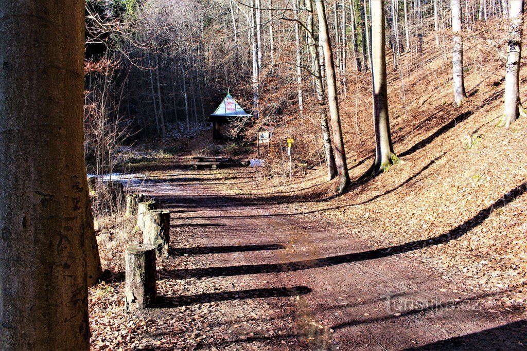 O vedere a naturii moarte a lui Scheinost