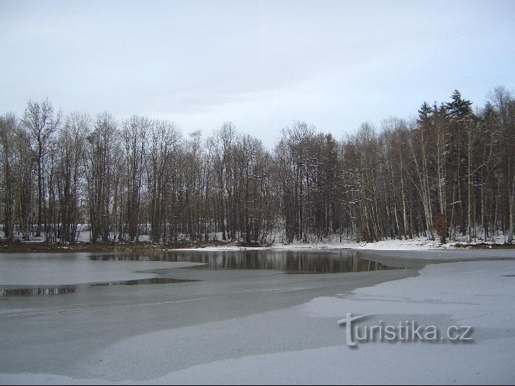 utsikt över den nordöstra viken från den södra stranden