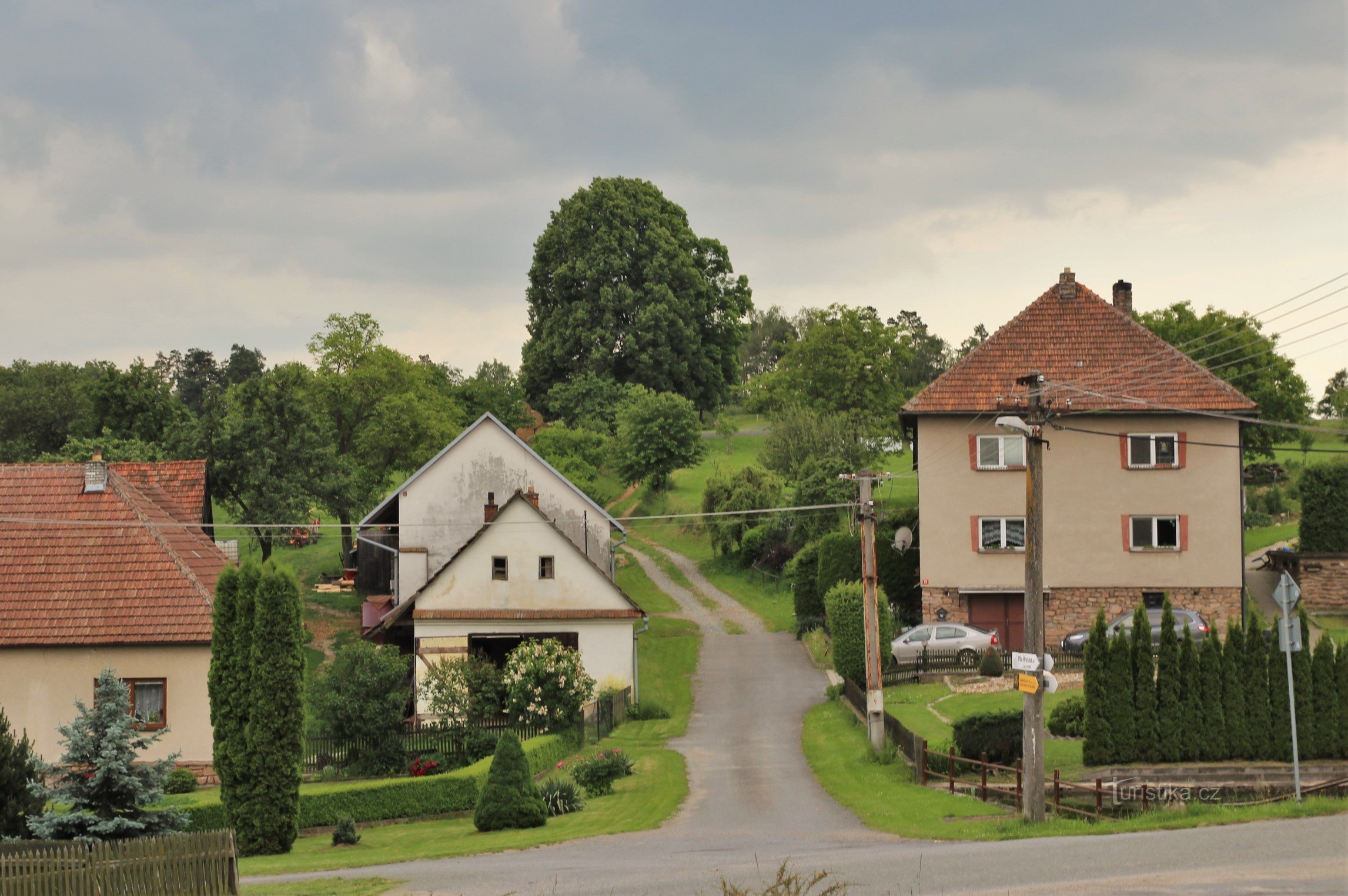 Blick vom Dorf auf die Linden von Šindelko