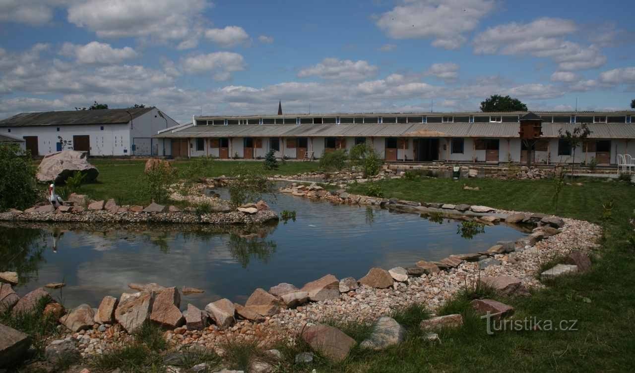 pogled na konjušnicu - stara farma Kolín