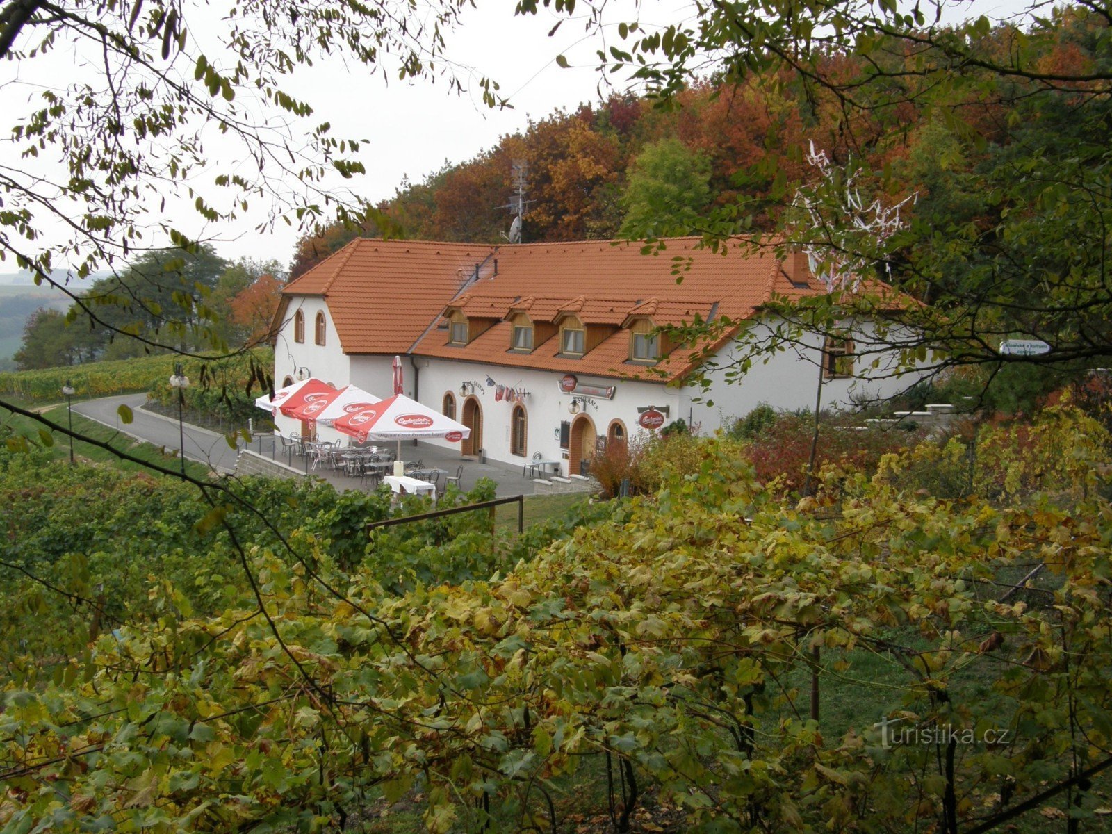 View of the center of the complex from the amphitheater.