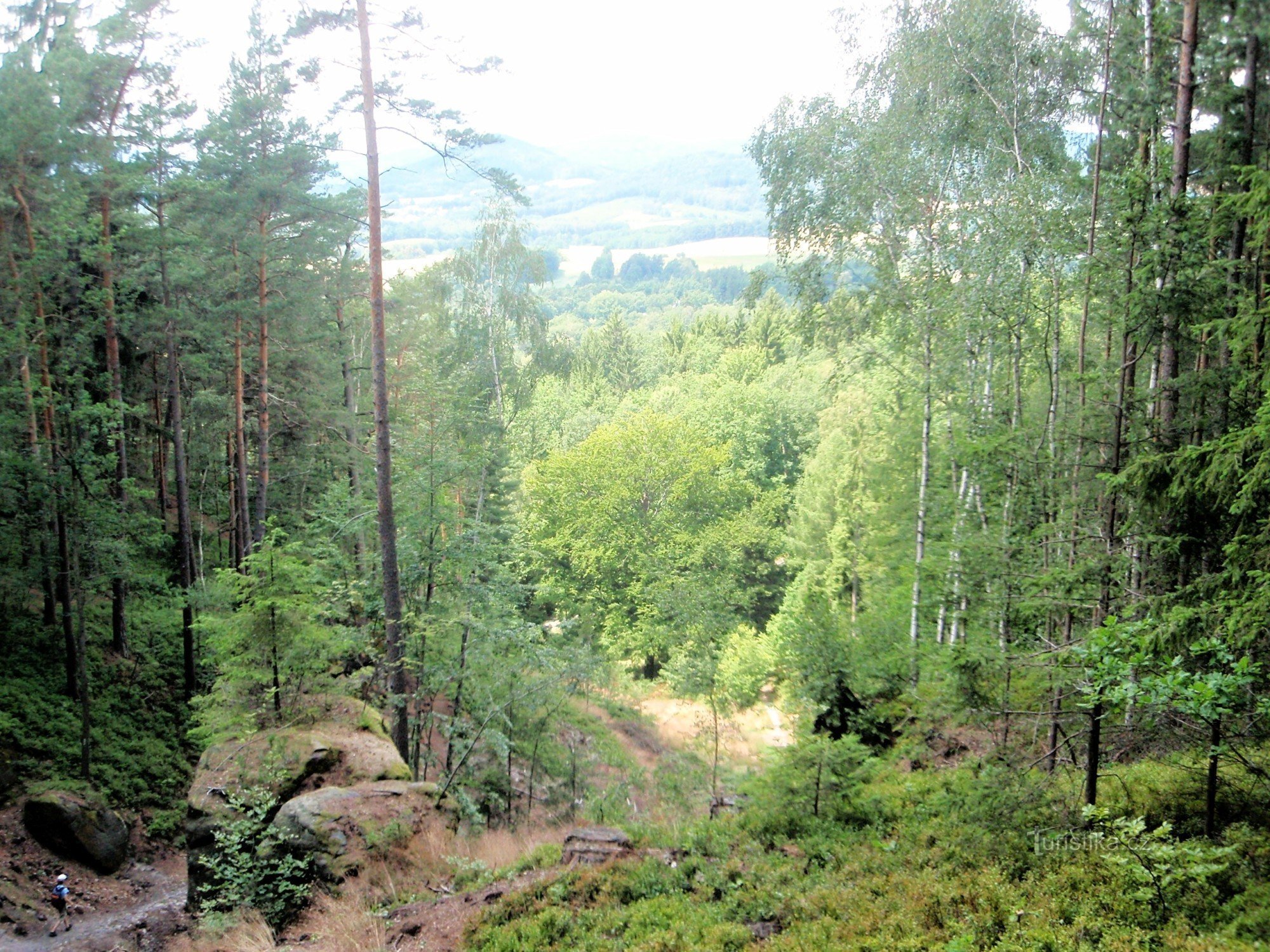 Blick vom Grat auf den Grat