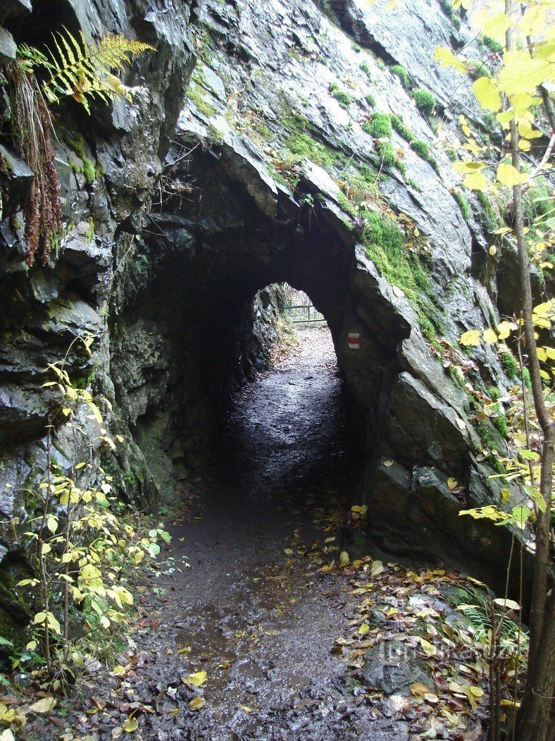 Widok tunelu w kierunku z Podspálov