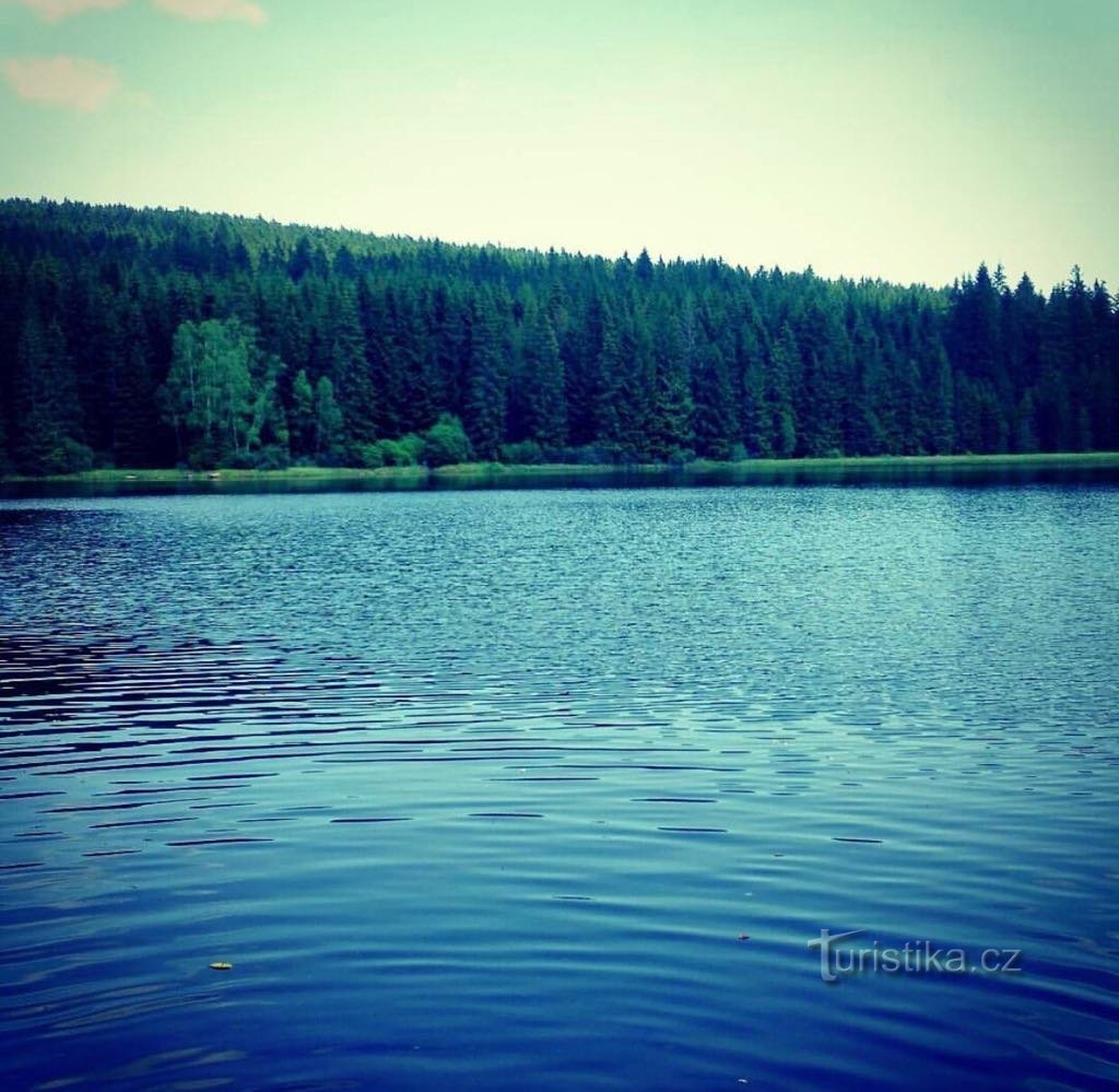 uitzicht op het water en de omliggende bossen