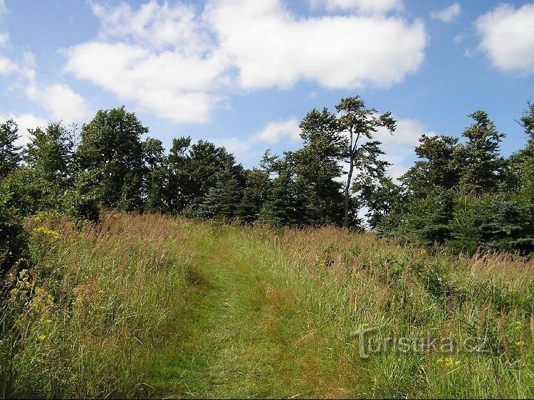 Blick auf den Dlouhá-Gipfel: Blick auf den Dlouhá-Gipfel aus Richtung Kamenárka